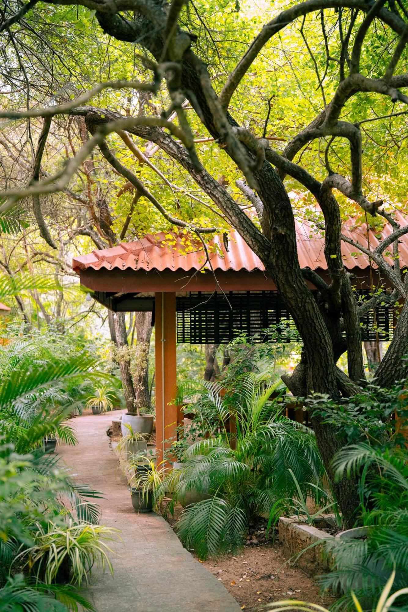 Safari Lodge Yala Kataragama Exterior photo
