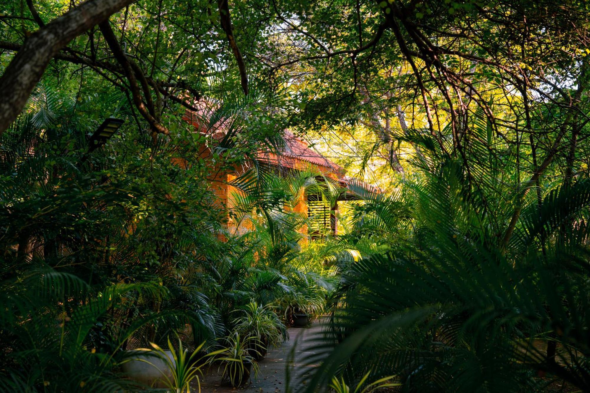 Safari Lodge Yala Kataragama Exterior photo