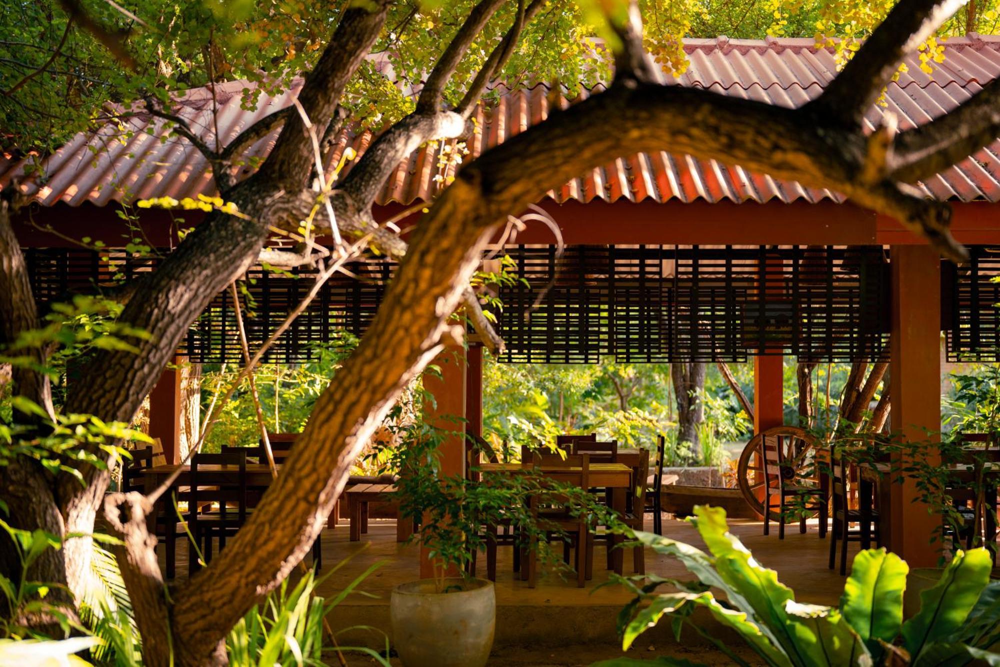 Safari Lodge Yala Kataragama Exterior photo