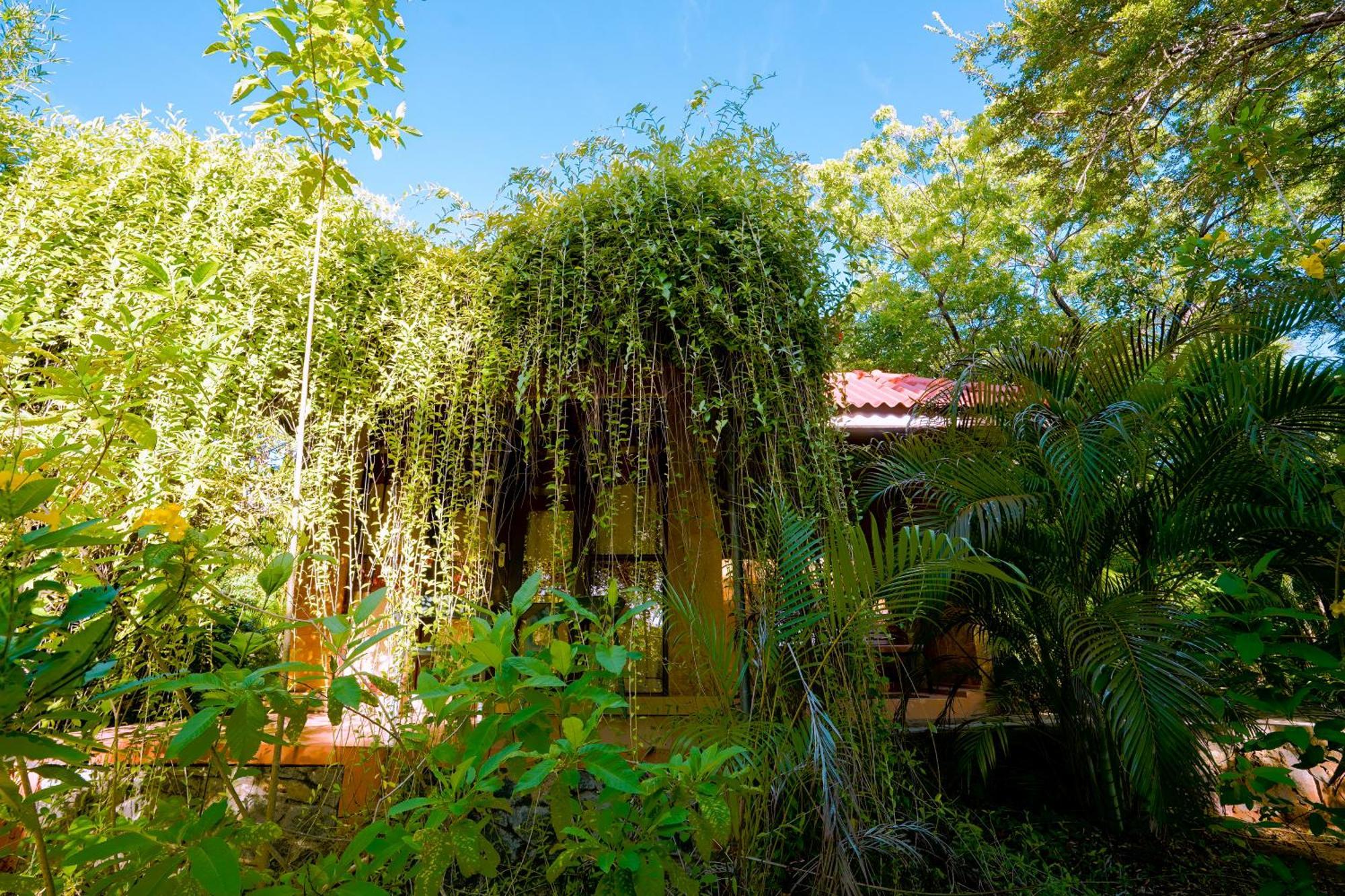 Safari Lodge Yala Kataragama Exterior photo