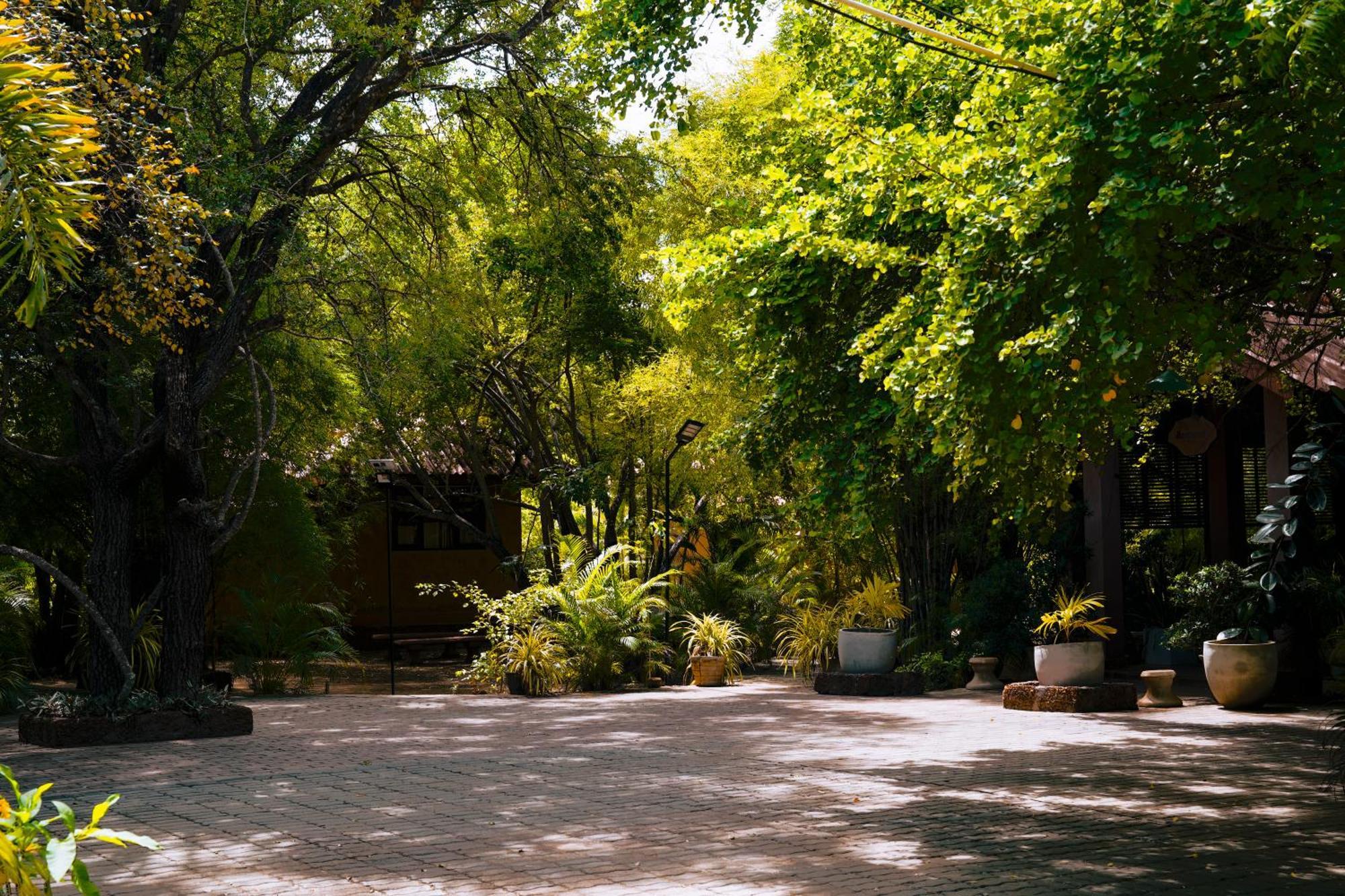 Safari Lodge Yala Kataragama Exterior photo